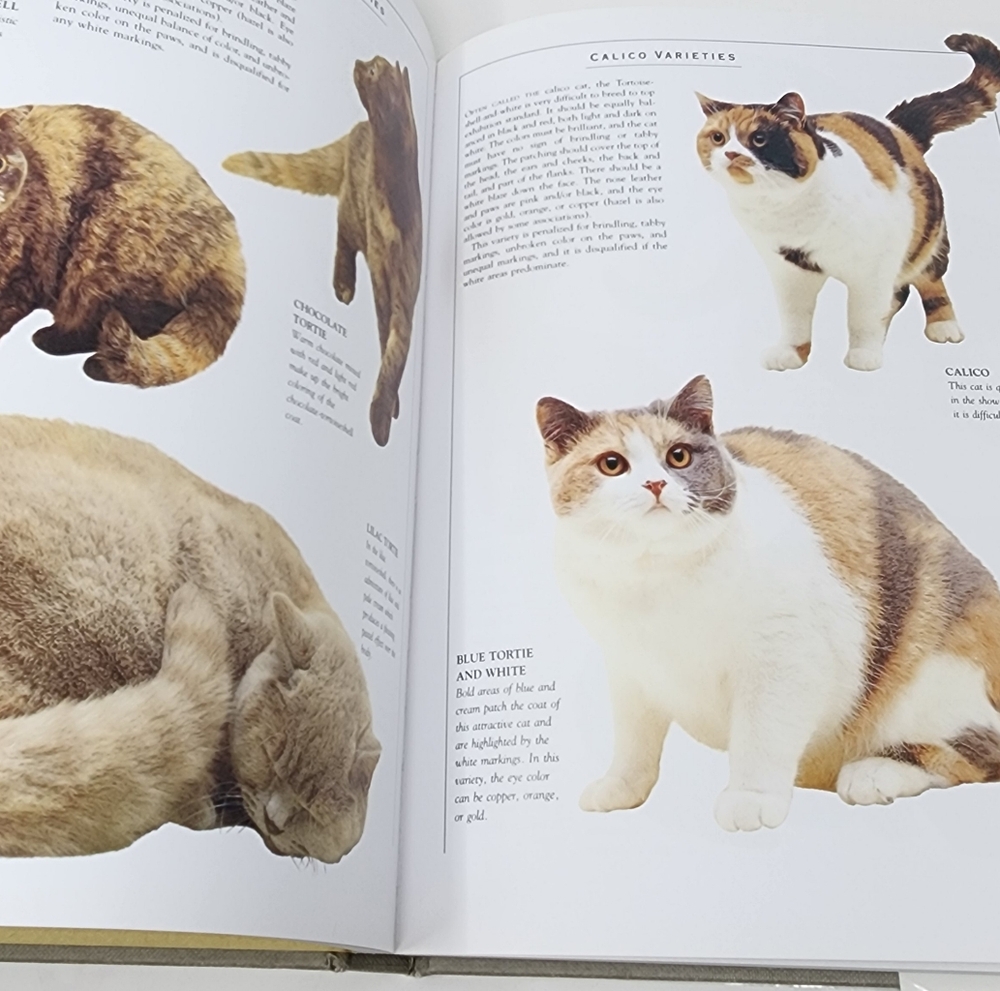 The Illustrated Encyclopedia of Cat‎ Breeds" by Angela Rixon - Picture 8 of 14